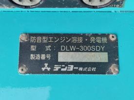 DLW-300SDY